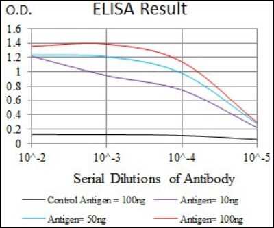 ELISA: Dynein light chain 4 Antibody (3B7B7) - BSA Free [NBP2-37390]