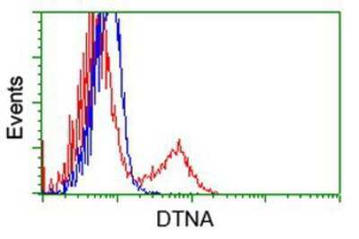 Flow Cytometry: Dystrobrevin alpha Antibody (OTI1B2) [NBP2-03422]