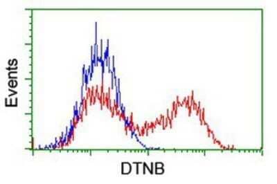 Flow Cytometry: Dystrobrevin beta Antibody (OTI3A12) - Azide and BSA Free [NBP2-70598]