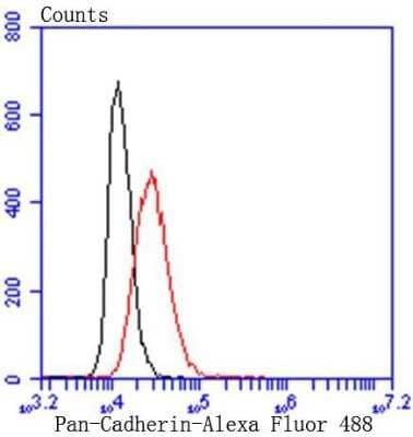 Flow Cytometry: E-Cadherin Antibody (ST54-01) [NBP2-67540]
