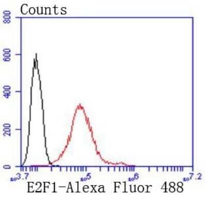Flow Cytometry: E2F-1 Antibody (JJ092-02) [NBP2-67899]