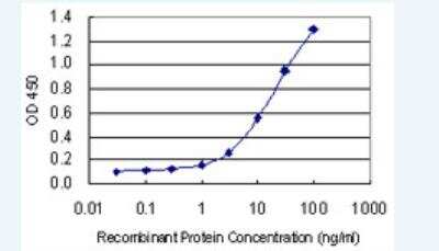 Western Blot: E2F3 Antibody (3C11) [H00001871-M04-100ug]