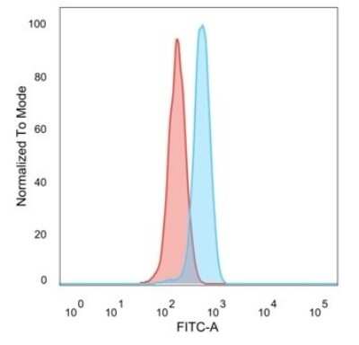 Flow Cytometry: E6AP/UBE3A Antibody (PCRP-UBE3A-1A2) - Azide and BSA Free [NBP3-08913]