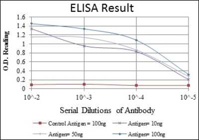 ELISA: E7 Antibody (6F3) - BSA Free [NBP2-37628]