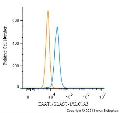 Flow Cytometry: EAAT1/GLAST-1/SLC1A3 Antibody - BSA Free [NB100-1869]