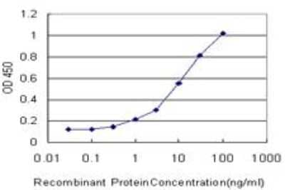 ELISA: EAAT2/GLT1 Antibody (4G8) [H00006506-M10]