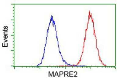 Flow Cytometry: EB2 Antibody (OTI1F3) [NBP2-00714]