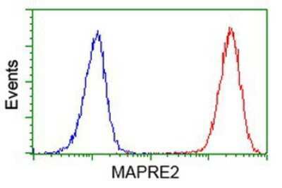 Flow Cytometry: EB2 Antibody (OTI1F3) [NBP2-00714]
