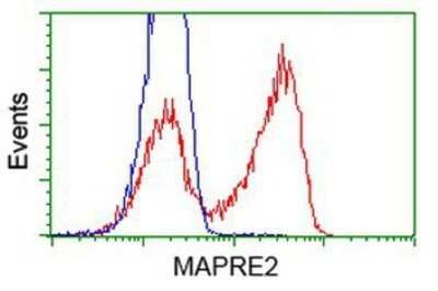 Flow Cytometry: EB2 Antibody (OTI1F3) - Azide and BSA Free [NBP2-71650]