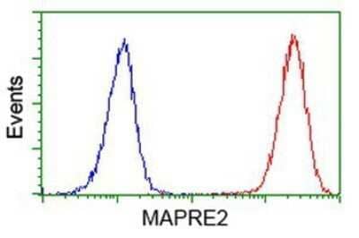 Flow Cytometry: EB2 Antibody (OTI1F3) - Azide and BSA Free [NBP2-71650]
