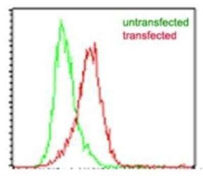 Flow Cytometry: EBI3 Antibody (5P10D3) - Azide and BSA Free [NBP2-80709]