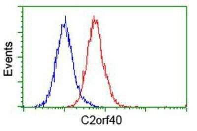 Flow Cytometry: ECRG4 Antibody (OTI3B10) [NBP2-00599]
