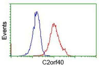 Flow Cytometry: ECRG4 Antibody (OTI3B10) [NBP2-00599]