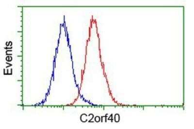 Flow Cytometry: ECRG4 Antibody (OTI3B10) - Azide and BSA Free [NBP2-72294]