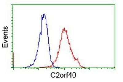 Flow Cytometry: ECRG4 Antibody (OTI3B10) - Azide and BSA Free [NBP2-72294]