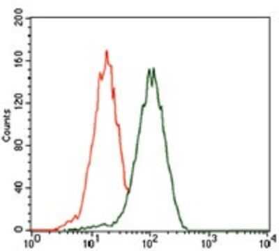 Flow Cytometry: EDR1/PHC1 Antibody (1F3F3) - BSA Free [NBP2-37371]