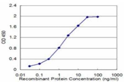 ELISA: EEA1 Antibody (2G2) [H00008411-M03]