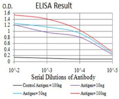 ELISA: EEN Antibody (2A9H4) - BSA Free [NBP2-52560]