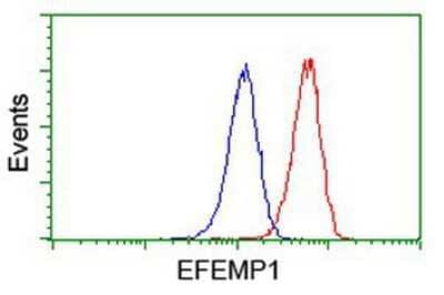Flow Cytometry: Fibulin-3/EFEMP1 Antibody (OTI1D9) [NBP2-01378]
