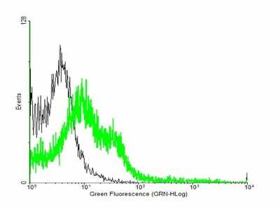 Flow Cytometry: EFEMP2 Antibody [H00030008-B01P]