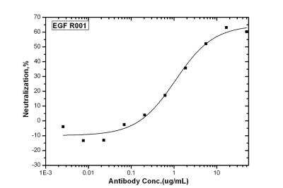 Neutralization: EGF Antibody (R001) [NBP2-89581]