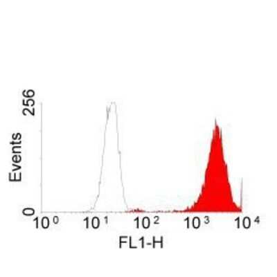 Flow Cytometry: EGFR Antibody (ICR10) - BSA Free [NB600-724]