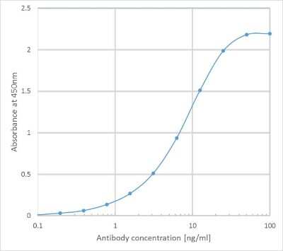 ELISA: EGFR Antibody (C225 (Cetuximab)) - Azide and BSA Free [NBP2-75903]