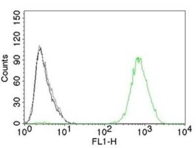 Flow Cytometry: EGFR Antibody (GFR450) - Azide and BSA Free [NBP2-33068]