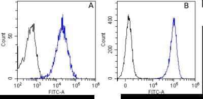 Flow Cytometry: EGFR Antibody (Matuzumab) - Chimeric - Azide and BSA Free [NBP2-52685]