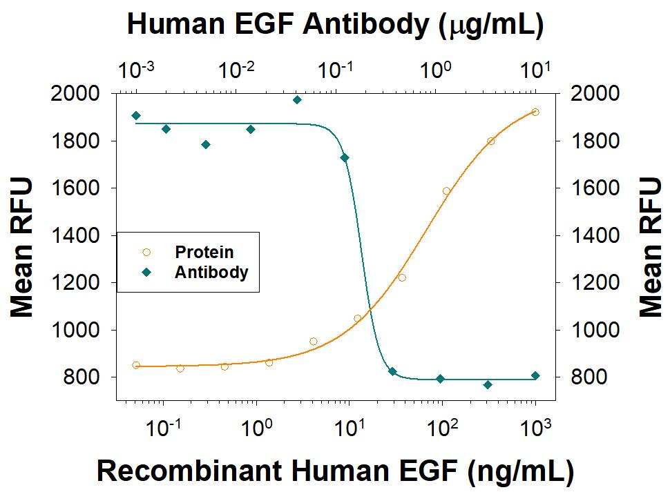 Cell Proliferation Induced by EGF and Neutralization by Human EGF Antibody.
