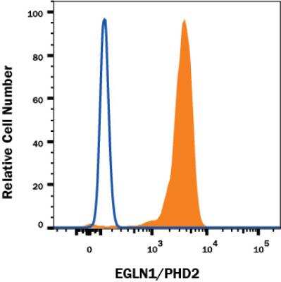 Flow Cytometry: EGLN1/PHD2 Antibody (2445B) - BSA Free [NBP2-76810]