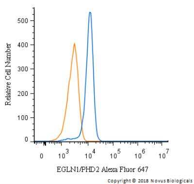 Flow Cytometry: EGLN1/PHD2 Antibody [NB100-137]