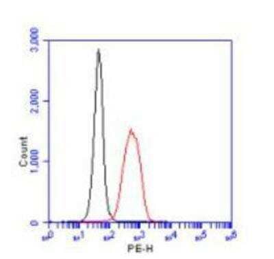 Flow Cytometry: EGLN1/PHD2 Antibody [NB100-138]