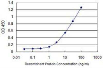 ELISA: EIF2 beta Antibody (2F3) [H00008894-M09]