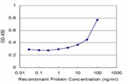 ELISA: EIF4EBP3 Antibody (1E3) [H00008637-M11]