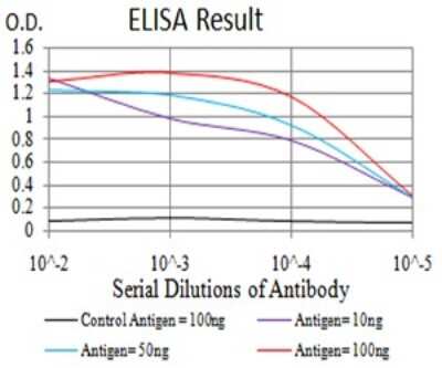 ELISA: EIF5 Antibody (6D6G6) - BSA Free [NBP2-61763]