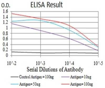 ELISA: EIF5 Antibody (6D6H11) - BSA Free [NBP2-61762]