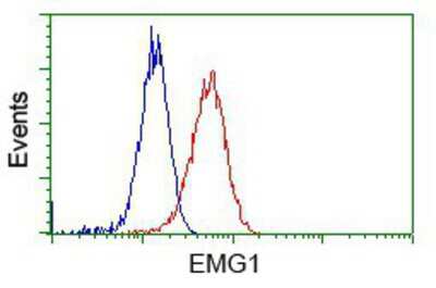 Flow Cytometry: EMG1 Antibody (OTI1B8) [NBP2-02575]