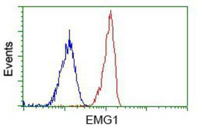 Flow Cytometry: EMG1 Antibody (OTI1B8) [NBP2-02575]