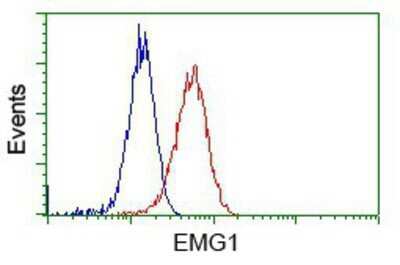 Flow Cytometry: EMG1 Antibody (OTI1B8) - Azide and BSA Free [NBP2-71601]