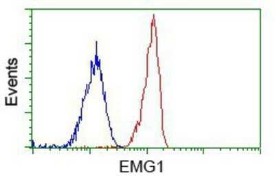 Flow Cytometry: EMG1 Antibody (OTI1B8) - Azide and BSA Free [NBP2-71601]