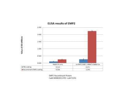 ELISA: Recombinant Human EMP2 GST (N-Term) Protein [H00002013-P01]