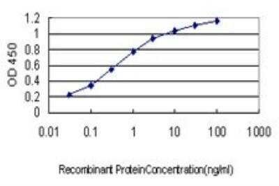 ELISA: ENO3 Antibody (5D1) [H00002027-M01]