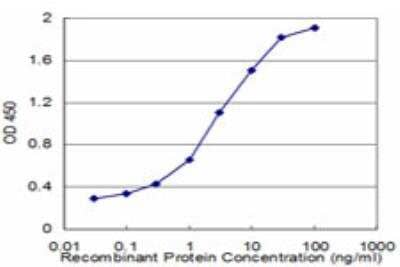 ELISA: EPB41L1 Antibody (2D10) [H00002036-M09]