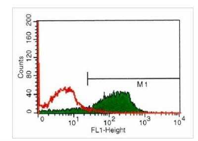 Flow Cytometry: EPCR Antibody (RCR-252) - BSA Free [NB600-963]