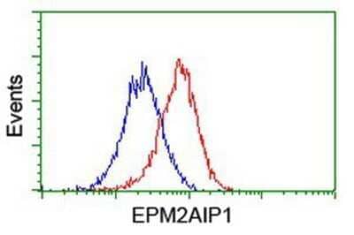 Flow Cytometry: EPM2AIP1 Antibody (OTI2A2) - Azide and BSA Free [NBP2-71497]
