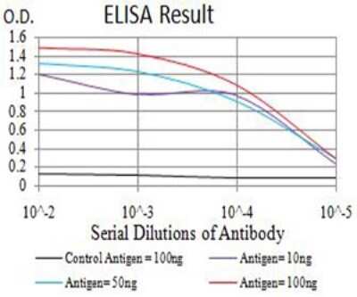 ELISA: ER alpha/NR3A1 Antibody (6A6E8) - BSA Free [NBP2-61764]