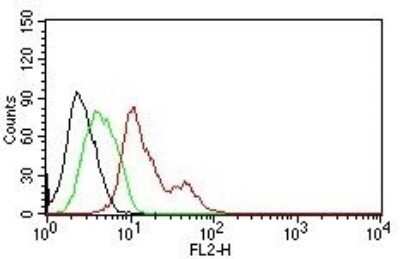 Flow Cytometry: ER alpha/NR3A1 Antibody (ER506) - Azide and BSA Free [NBP2-33321]
