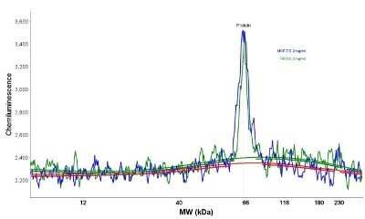 Simple Western: ER alpha/NR3A1 Antibody (ER506)Azide and BSA Free [NBP2-33321]