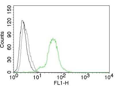 Flow Cytometry: ER beta/NR3A2 Antibody (ERb455) - Azide and BSA Free [NBP2-33066]